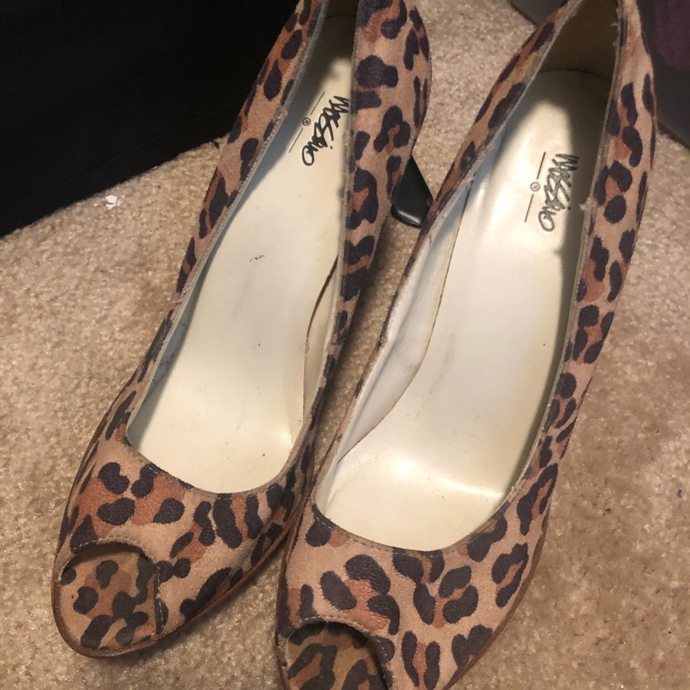 Cheetah pumps